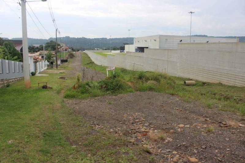 Moradores do Rio Maina no aguardo de repasse do governo para pavimentação — foto 1