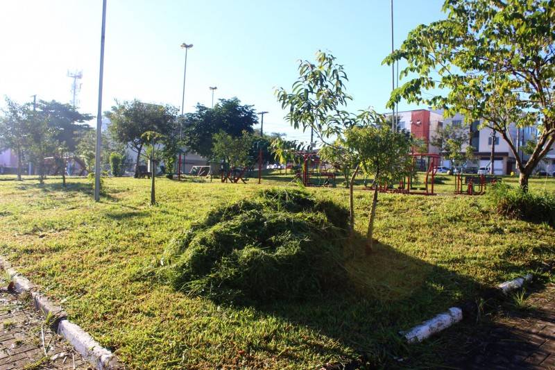 Mato cortado, agora falta o reparo nos equipamentos — foto 2