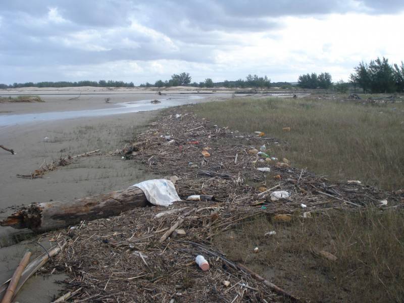 Dia dos Oceanos: Ações humanas influenciam nas águas de rios e mares — foto 1