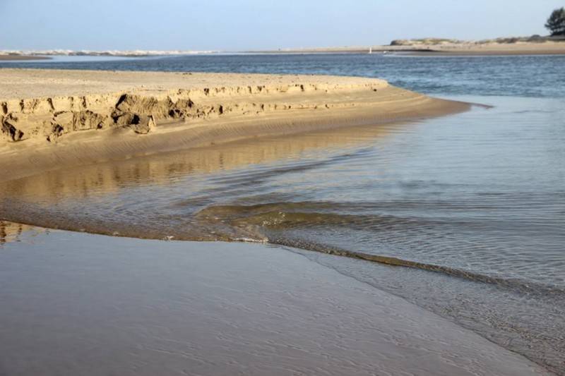 Dia dos Oceanos: Ações humanas influenciam nas águas de rios e mares — foto 8