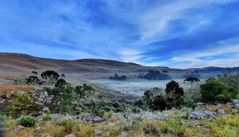 Geada em São Joaquim e temperaturas próximas de 0ºC — foto 1