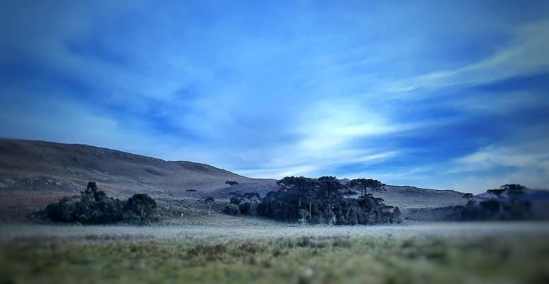 Geada em São Joaquim e temperaturas próximas de 0ºC — foto 2