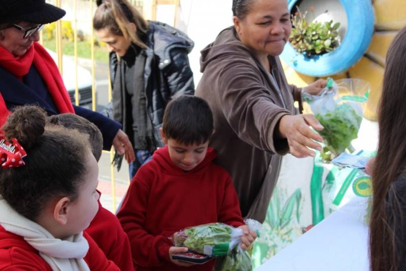 Alfaces são comercializadas em projeto empreendedor de escola de Içara — foto 2