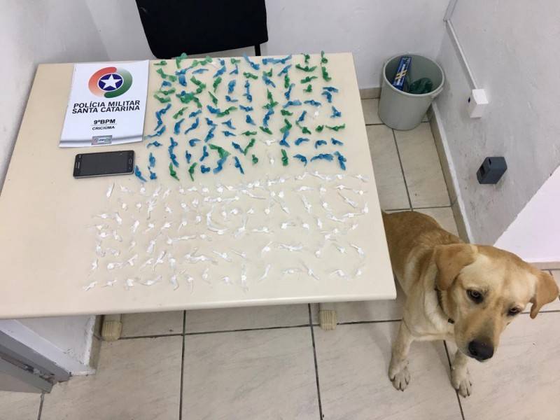 Polícia Militar apreende 15 armas de fogo no mês de junho — foto 2