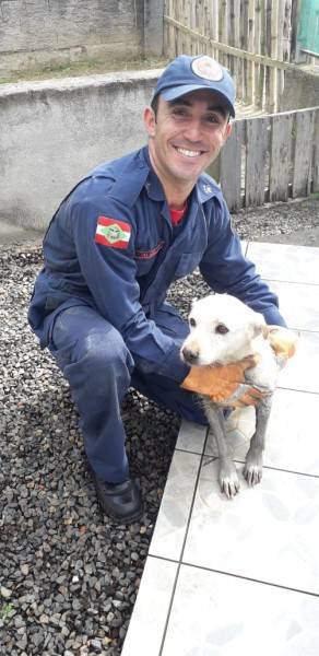 Bombeiros resgatam cachorra de bueiro em Criciúma — foto 1