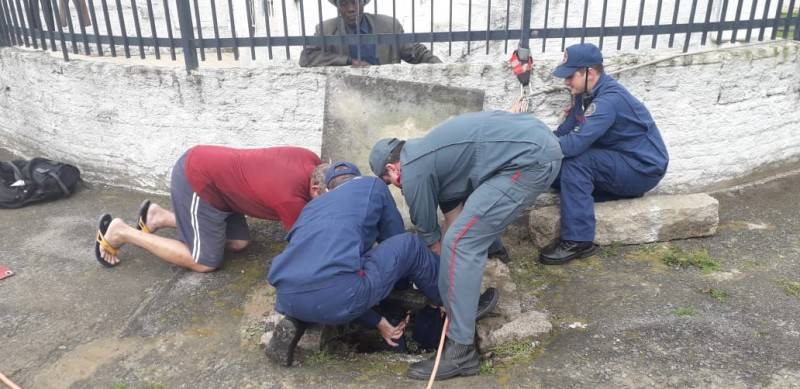 Bombeiros resgatam cachorra de bueiro em Criciúma — foto 4