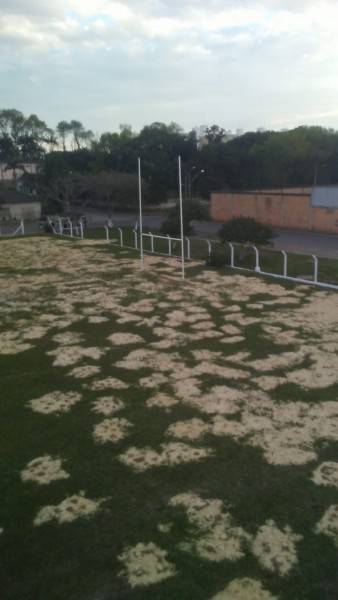 Primeiro campo oficial de Rugby em Criciúma será inaugurado em agosto — foto 1