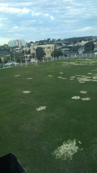 Primeiro campo oficial de Rugby em Criciúma será inaugurado em agosto — foto 2