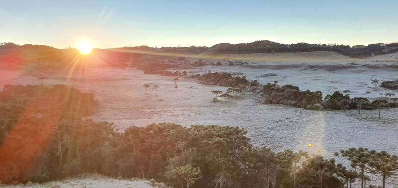 Amanhecer na Serra catarinense teve geada e temperatura de -8,8ºC em Urupema — foto 2