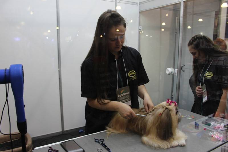 AgroPonte 2019: mundo pet cresce em serviços e produtos — foto 1