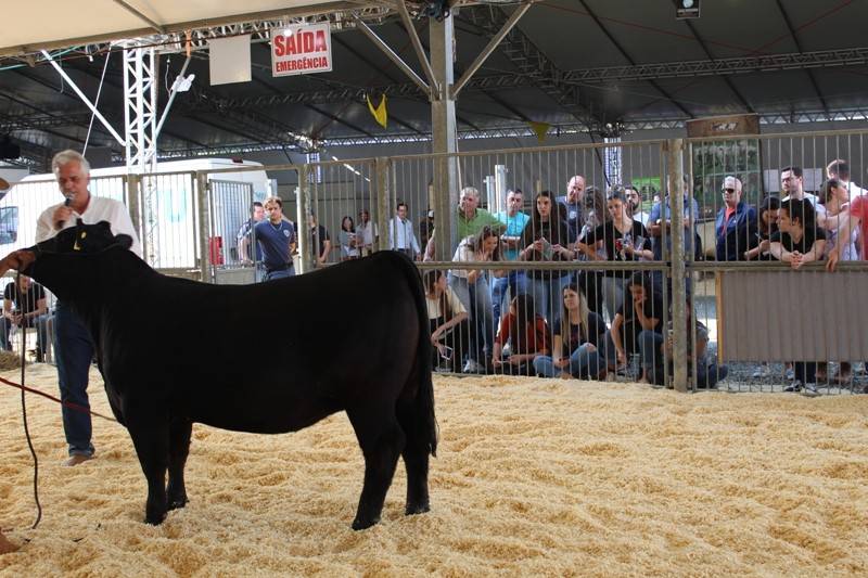 AgroPonte 2019: mundo pet cresce em serviços e produtos — foto 6