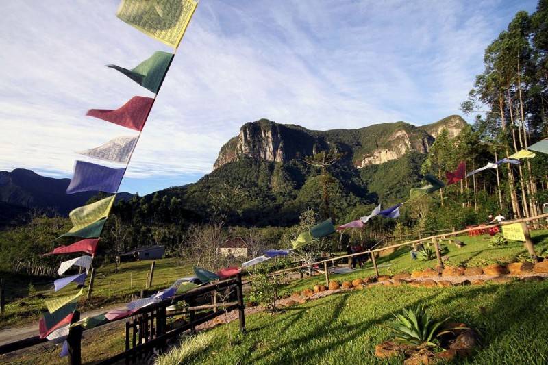 Festival Wiediistock alia arte, educação ambiental e música à preservação do Gato-Maracajá — foto 1