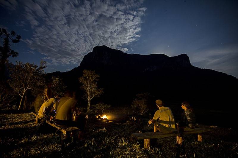 Festival Wiediistock alia arte, educação ambiental e música à preservação do Gato-Maracajá — foto 2