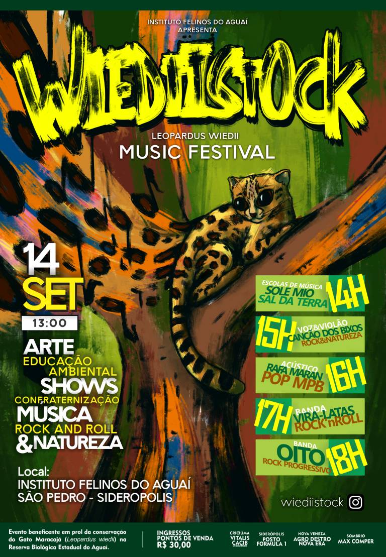 Festival Wiediistock alia arte, educação ambiental e música à preservação do Gato-Maracajá — foto 5