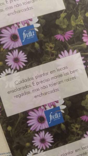 Fretta promove conscientização da preservação do meio ambiente — foto 2