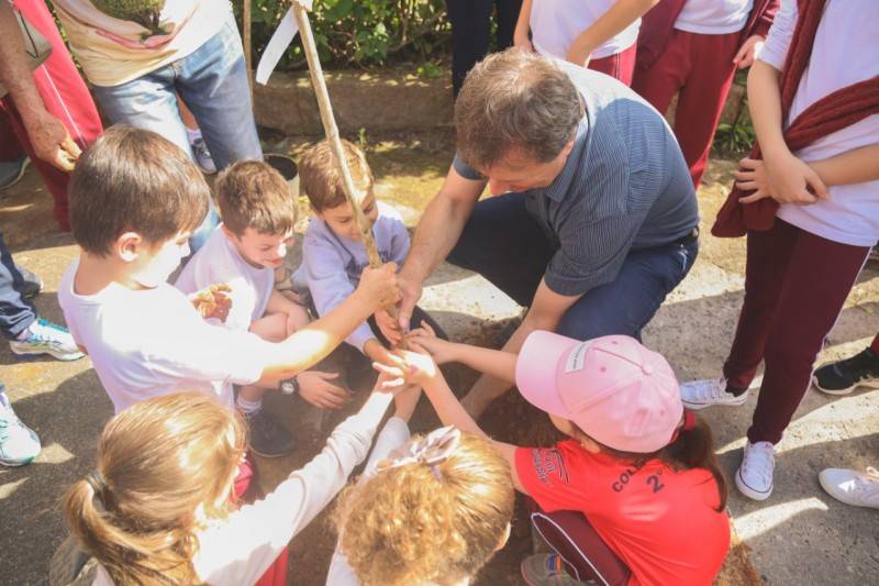 Após pavimentação, rua Duque de Caxias recebe plantio de árvores — foto 1