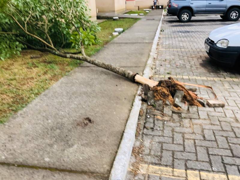 Oito blocos do Condomínio Residencial San Diego, na Quarta Linha, foram destelhados durante temporal — foto 1