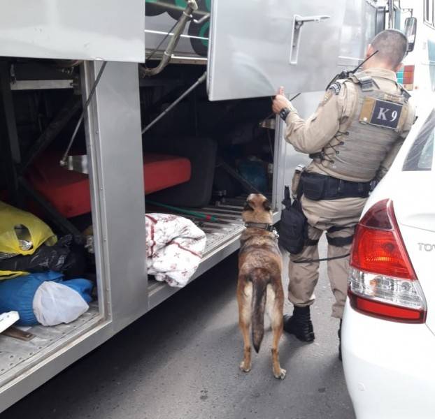 Traficantes levariam de Criciúma para o RS, mais de 340 ampolas de loló e 170 comprimidos de ecstasy — foto 8