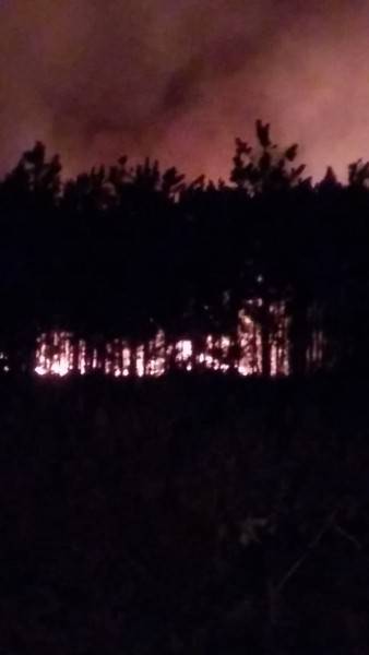Incêndio destrói mais de dois hectares de mata nativa em Sombrio — foto 1