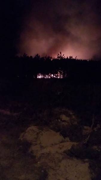 Incêndio destrói mais de dois hectares de mata nativa em Sombrio — foto 2