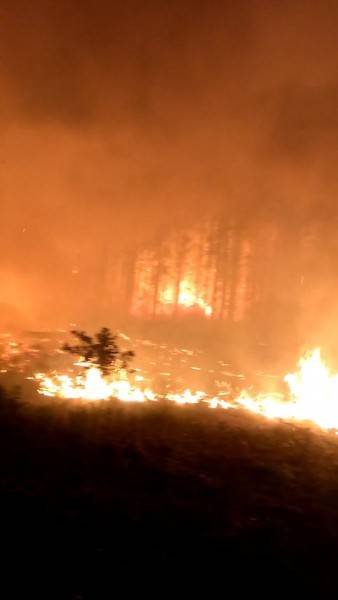 Incêndio destrói mais de dois hectares de mata nativa em Sombrio — foto 4