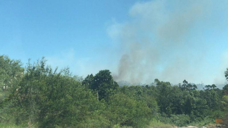 Incêndio controlado em área verde nos bairros Vila Zuleima e Maria Céu — foto 2