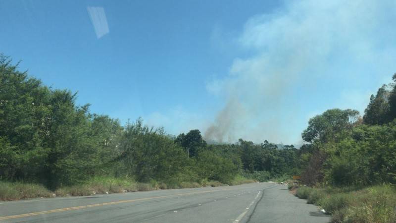 Incêndio controlado em área verde nos bairros Vila Zuleima e Maria Céu — foto 3