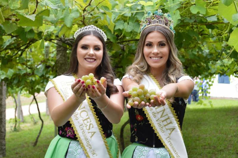12ª Vindima Goethe abre oficialmente com colheita simbólica — foto 6