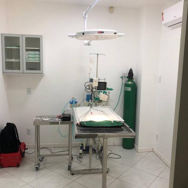 Soul Vet: um jeito especializado de cuidar dos pets — foto 2