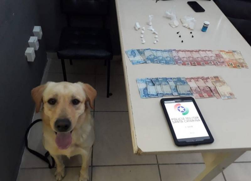 Pelotão de policiamento com cães fecha o ano de 2019 com números positivos — foto 2
