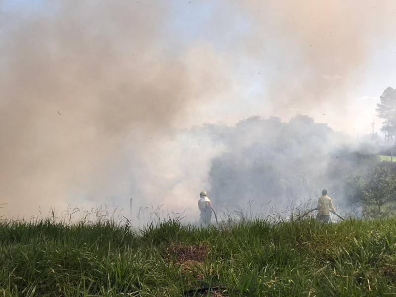 Bombeiros combatem incêndio no bairro Jardim Angélica — foto 1