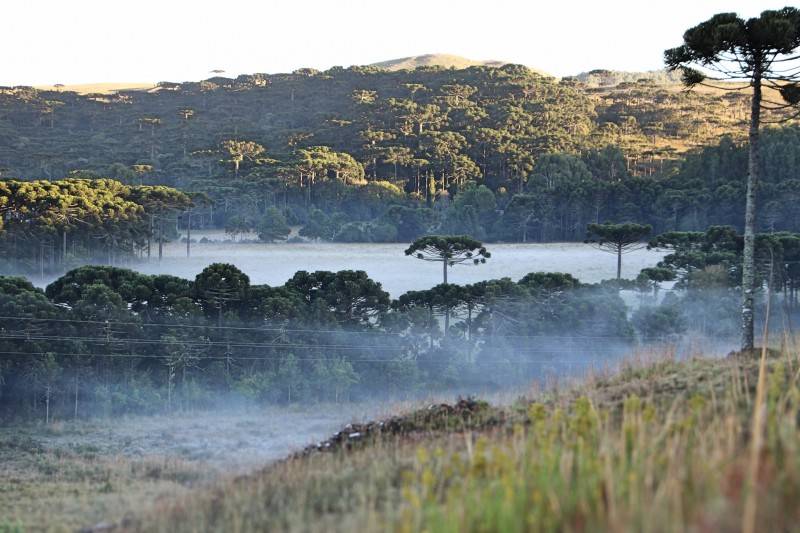 Amanhecer na Serra catarinense foi com geada neste domingo — foto 1