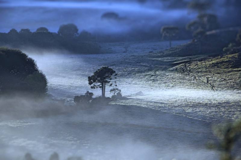 Amanhecer na Serra catarinense foi com geada neste domingo — foto 6