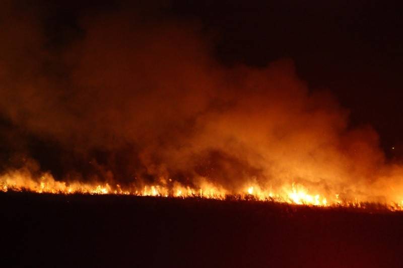 Incêndio em vegetação no bairro Floresta: bombeiros finalizam trabalho de combate às chamas — foto 1