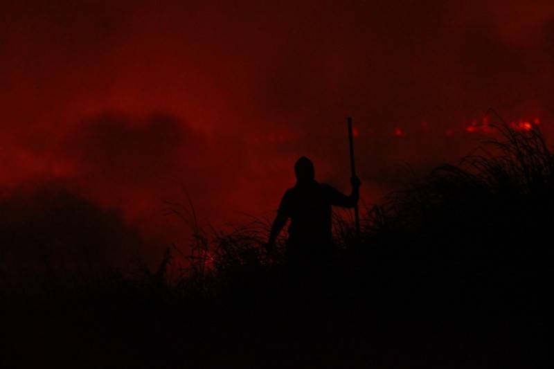 Incêndio em vegetação no bairro Floresta: bombeiros finalizam trabalho de combate às chamas — foto 10