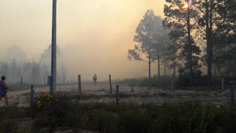 Bombeiros trabalham por mais de sete horas para combater incêndio em área de reflorestamento — foto 1