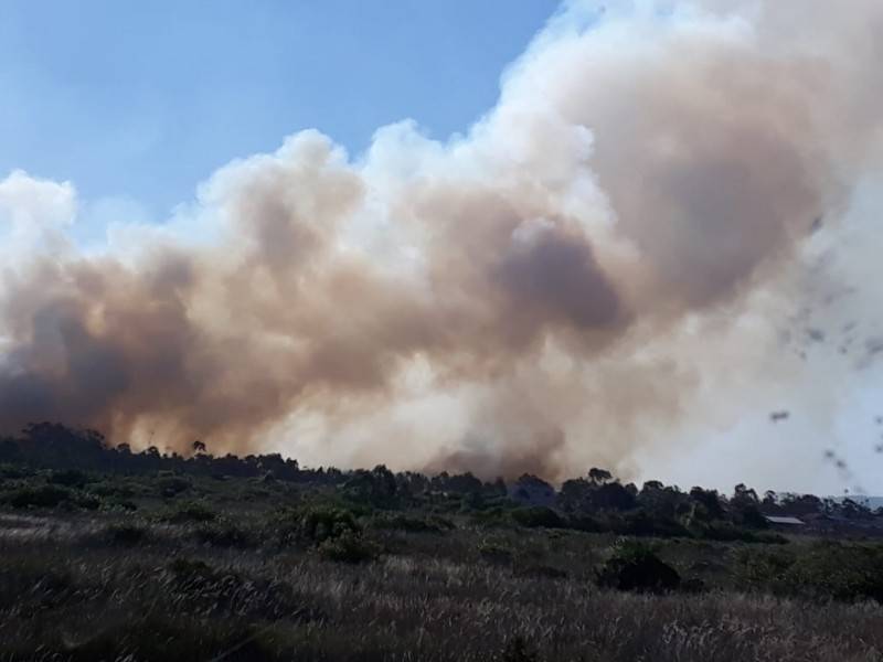 Bombeiros trabalham por mais de sete horas para combater incêndio em área de reflorestamento — foto 8
