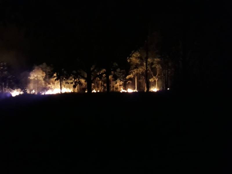 Bombeiros combatem incêndio em vegetação na cidade de Balneário Arroio do Silva — foto 1