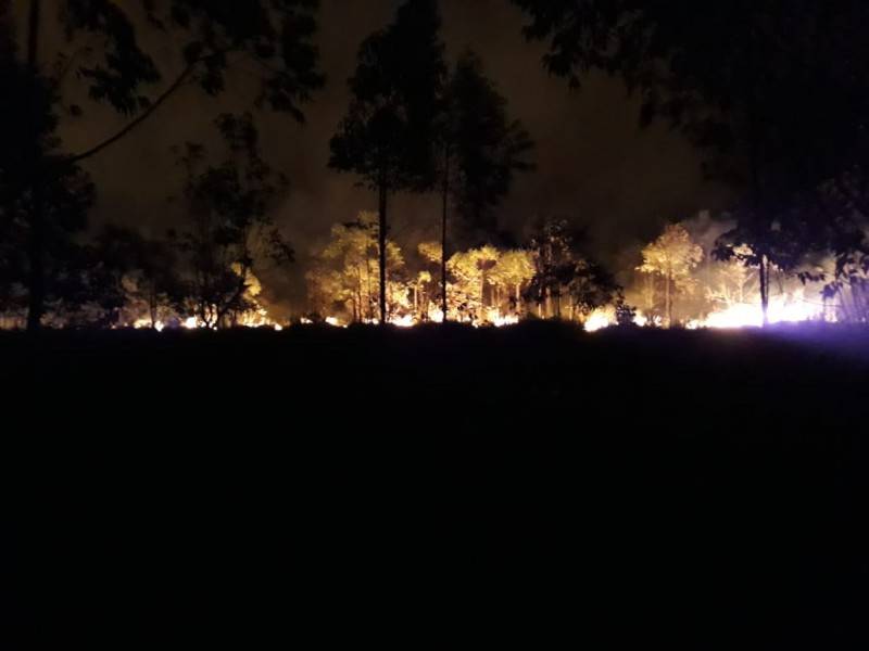 Bombeiros combatem incêndio em vegetação na cidade de Balneário Arroio do Silva — foto 2