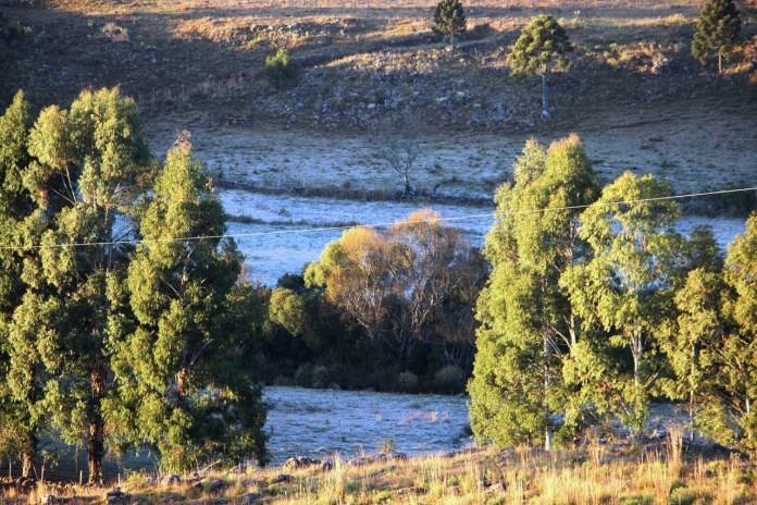 Na Serra, teve geada e temperatura negativa durante o amanhecer — foto 2