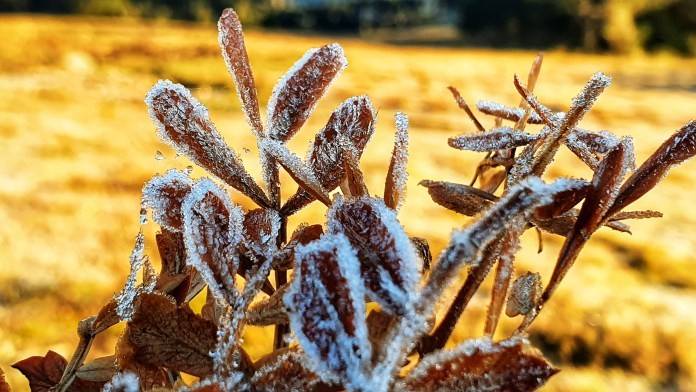 Na Serra, teve geada e temperatura negativa durante o amanhecer — foto 14