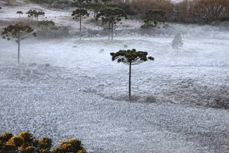 Confira imagens do amanhecer mais frio do ano na Serra Catarinense — foto 1