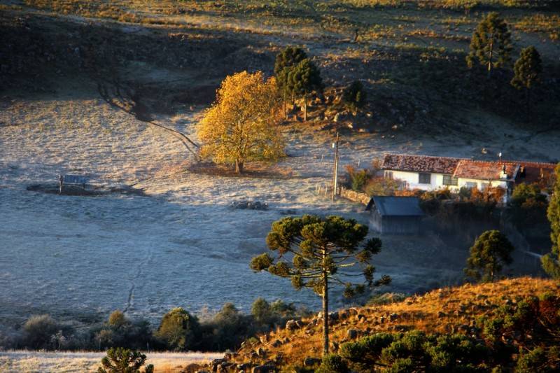 Confira imagens do amanhecer mais frio do ano na Serra Catarinense — foto 2
