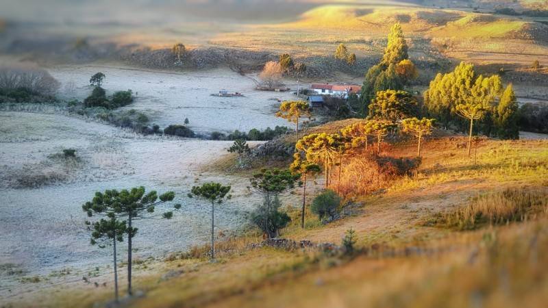 Santa Catarina amanhece com geada e temperaturas negativas na Serra — foto 1