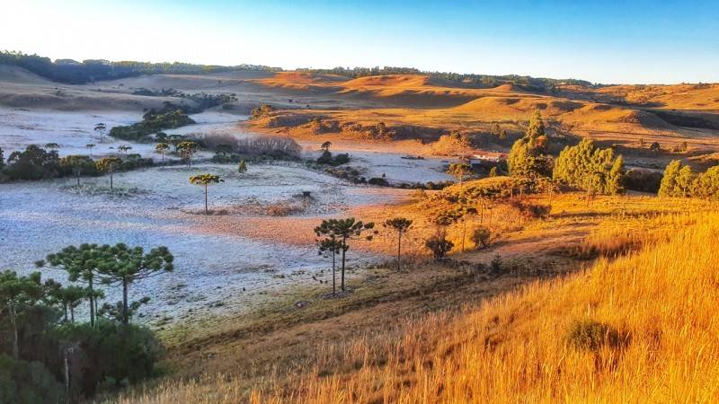 Santa Catarina amanhece com geada e temperaturas negativas na Serra — foto 2