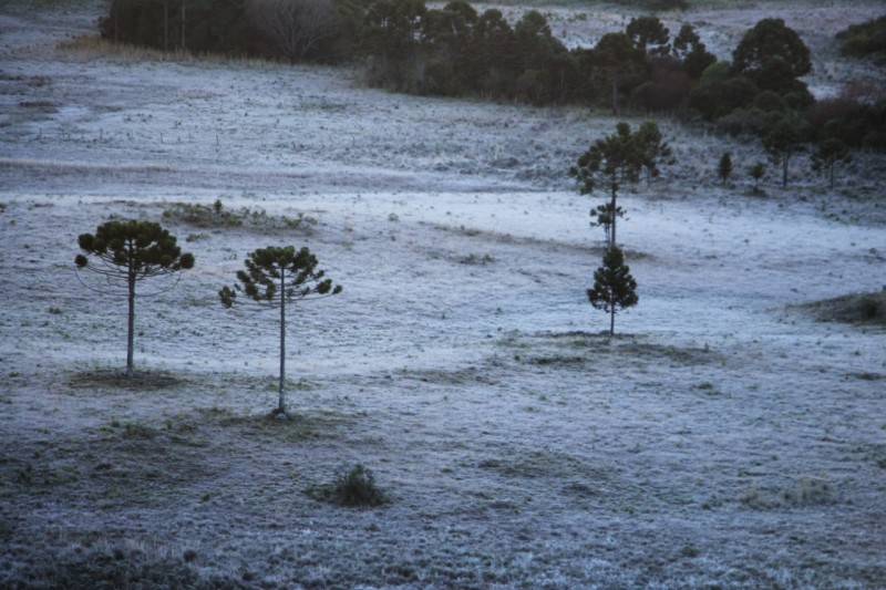 Santa Catarina amanhece com geada e temperaturas negativas na Serra — foto 20
