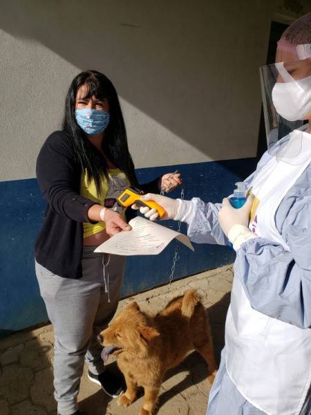 Campanha de castração em Araranguá realizou quase uma centena de procedimentos — foto 1