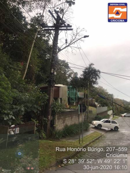Criciúma: rajadas de vento provocam queda de árvore no Morro Cechinel — foto 2