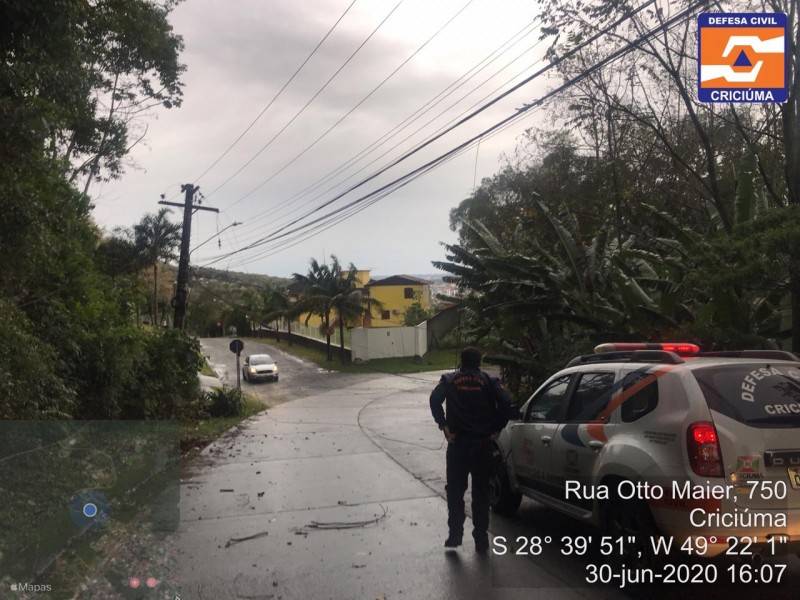 Criciúma: rajadas de vento provocam queda de árvore no Morro Cechinel — foto 4