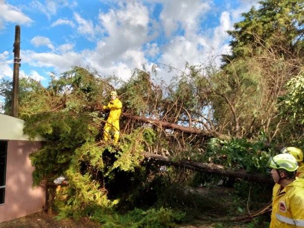 Governo do Estado atua nas cidades catarinenses atingidas por temporal — foto 2